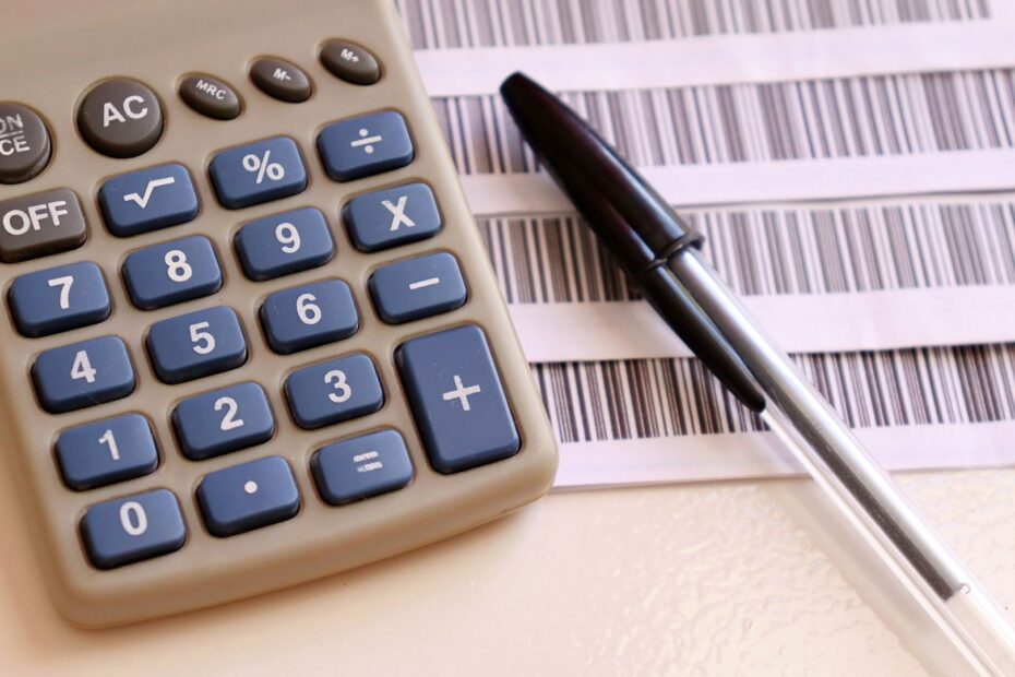 Como imprimir e pagar o IPVA 2024.