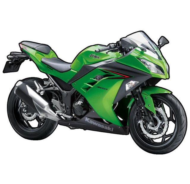 Ninja 300 2024.