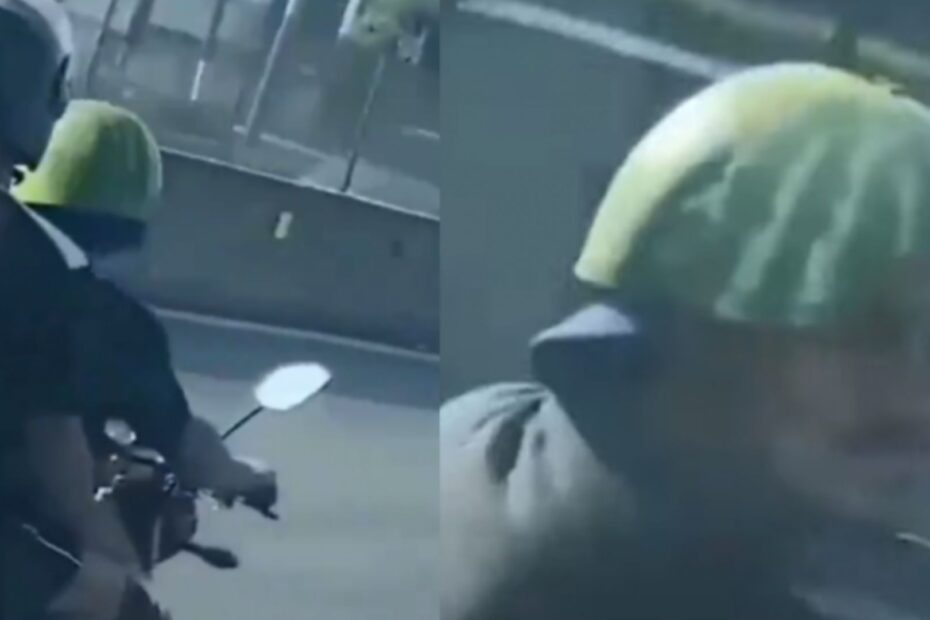 Homem equipado com capacete de melancia viraliza.