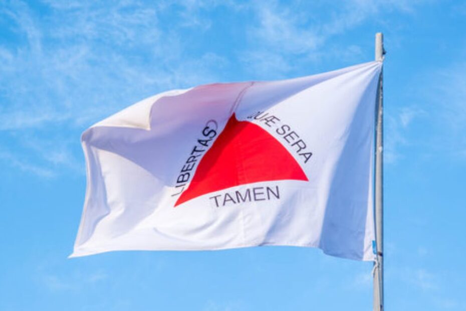 IPVA 2025 MG: Consulta, Alíquotas, Valor e Pagamento