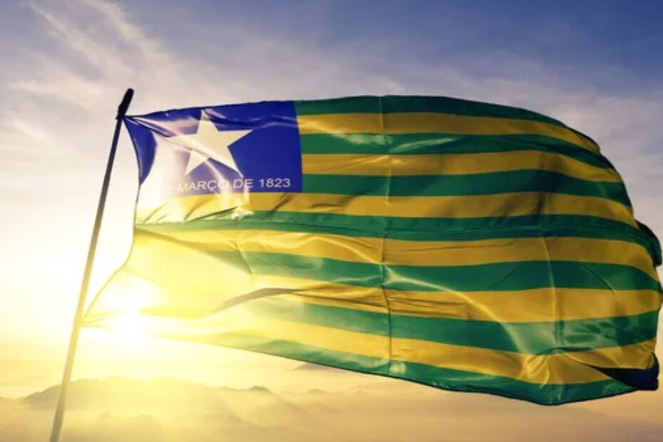 IPVA 2025 PI: Consulta, Alíquotas, Valor e Pagamento