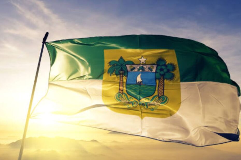 IPVA 2025 RN: Consulta, Alíquotas, Valor e Pagamento