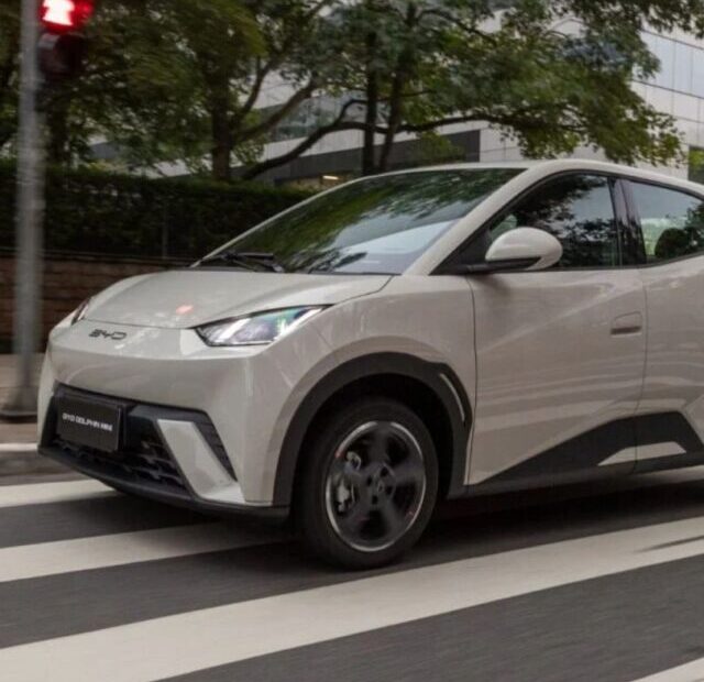 BYD Dolphin Mini 2025