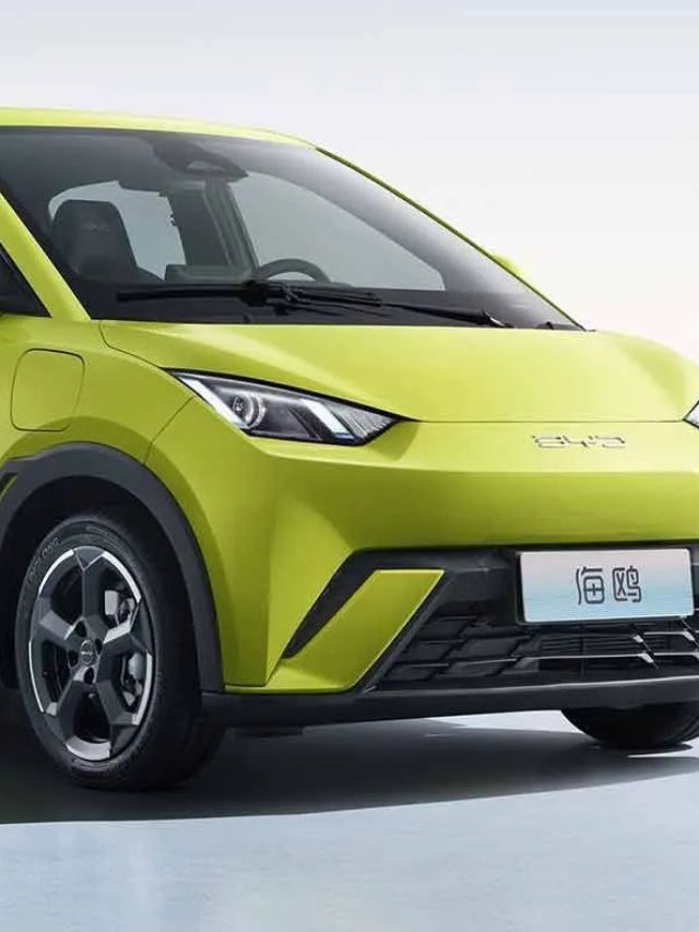 BYD Dolphin Mini supera até modelos a gasolina!