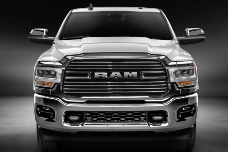 Ram branca parada de frente.