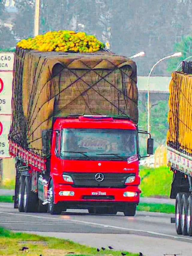 Moda perigosa dos caminhões arqueados ainda desafia a fiscalização