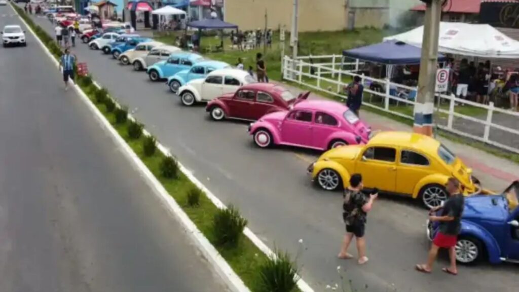Fuscas em um encontro de carros antigos.