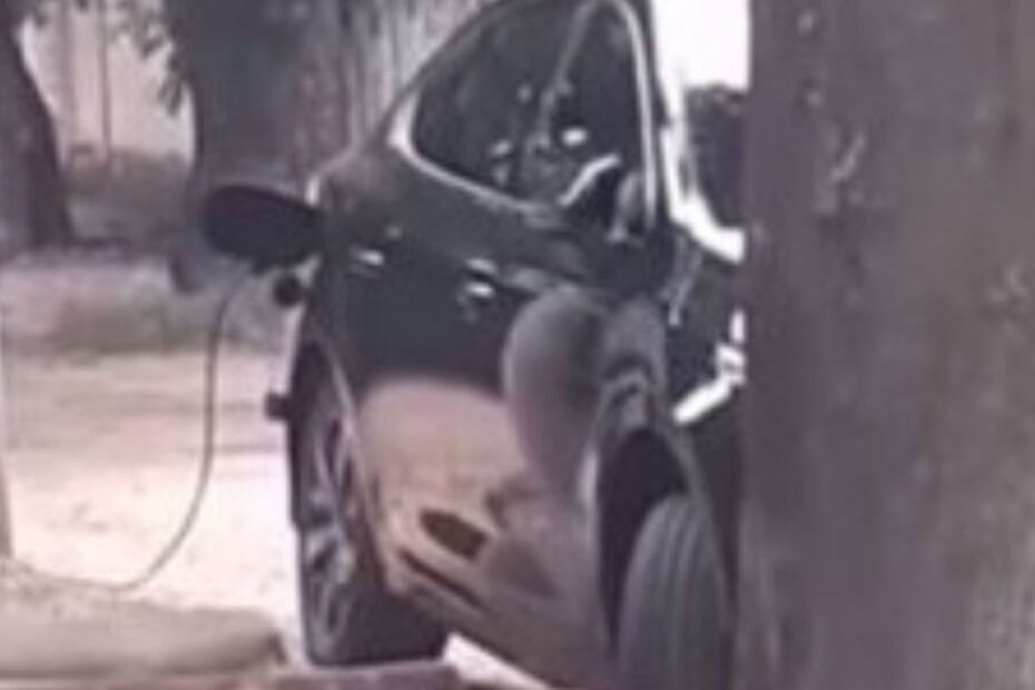Carro preto da BYD sendo carregado por um gato que o motorista fez em um poste.